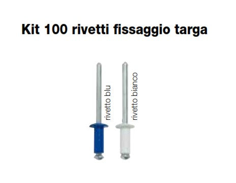 Kit 100 rivetti fissaggio targa (colore bianco)